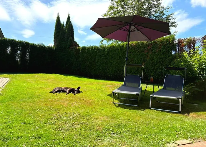 بيت للعطل Bussardhorst *